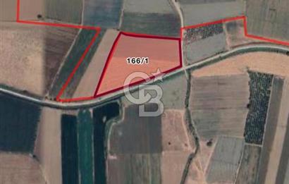 Ahmetlide Geleceği Parlayan Bölgede Yatırımlık 11.000 m2 Arazi