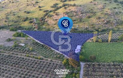 C.B. ROUTE | DİKİLİDE TAM DONANIMLI RUHSATLI PREMİUM ÇİFTLİK