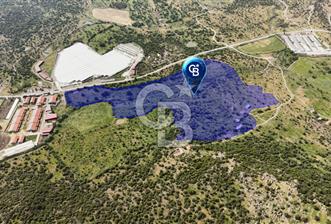 DİKİLİ KATIRALANDA GENİŞ CEPHELİ DEĞERLİ SATILIK TARLA - 7 - 350429