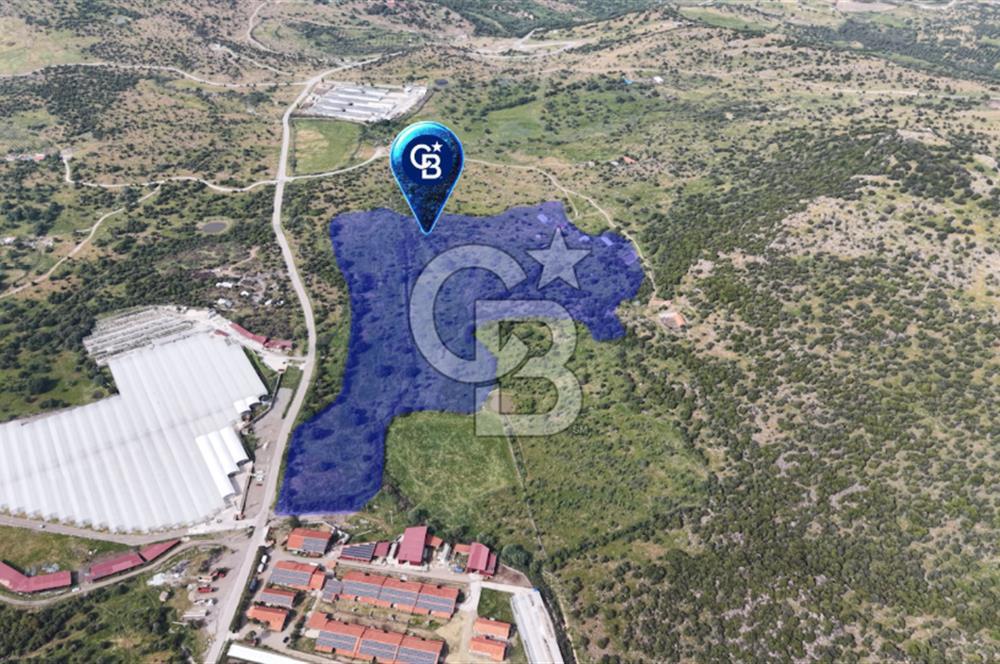 DİKİLİ KATIRALANDA GENİŞ CEPHELİ DEĞERLİ SATILIK TARLA
