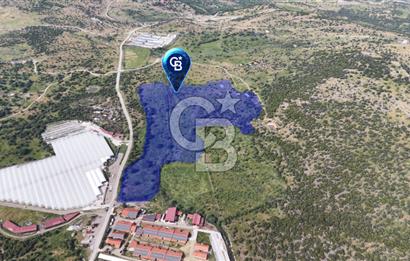 DİKİLİ KATIRALANDA GENİŞ CEPHELİ DEĞERLİ SATILIK TARLA