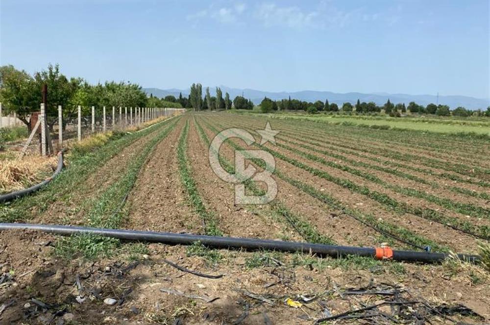 Torbalı Osb Yakını Bugünün Tarlası Yarının Değerli Yatırımı