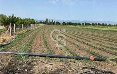 Torbalı Osb Yakını Bugünün Tarlası Yarının Değerli Yatırımı