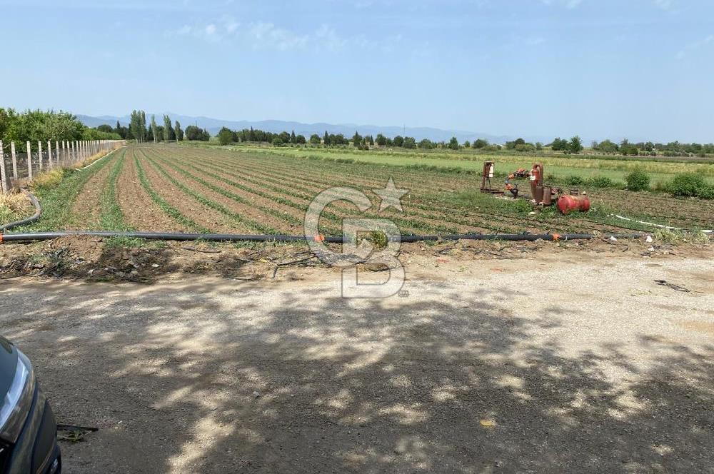 Torbalı Osb Yakını Bugünün Tarlası Yarının Değerli Yatırımı