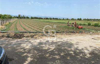 Torbalı Osb Yakını Bugünün Tarlası Yarının Değerli Yatırımı