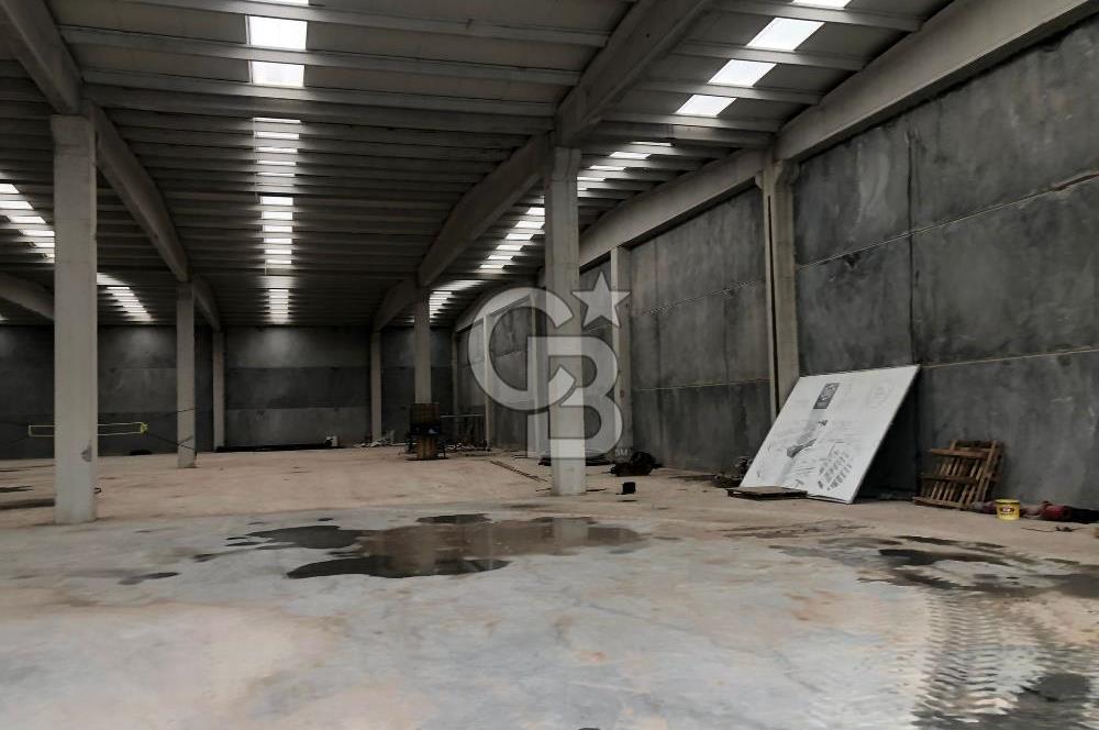 CB KİNG'DEN ORGANİZE SAN.MARANGOZLAR ST. 3000m2 KİRALIK DÜKKAN