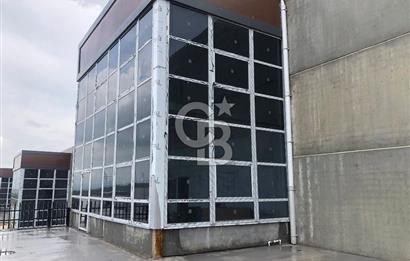 CB KİNG'DEN ORGANİZE SAN.MARANGOZLAR ST. 3000m2 KİRALIK DÜKKAN