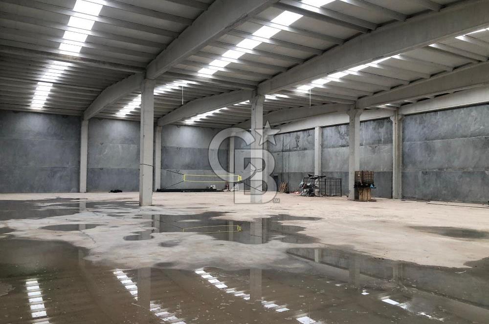 CB KİNG'DEN ORGANİZE SAN.MARANGOZLAR ST. 3000m2 KİRALIK DÜKKAN