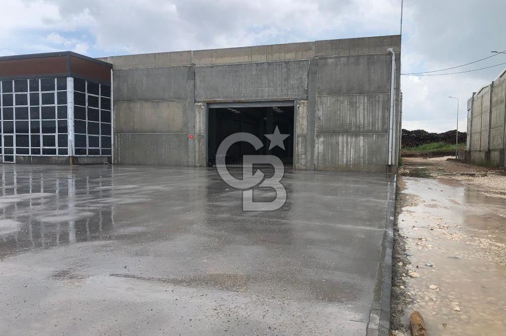 CB KİNG'DEN ORGANİZE SAN.MARANGOZLAR ST. 3000m2 KİRALIK DÜKKAN
