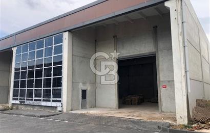 CB KİNG'DEN ORGANİZE SANAYİ MARANGOZLAR SİTESİ KİRALIK DÜKKAN