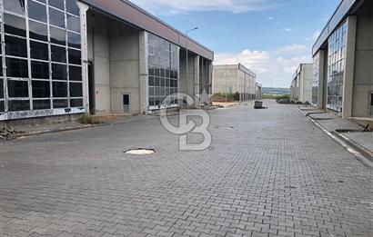 CB KİNG'DEN ORGANİZE SANAYİ MARANGOZLAR SİTESİ KİRALIK DÜKKAN