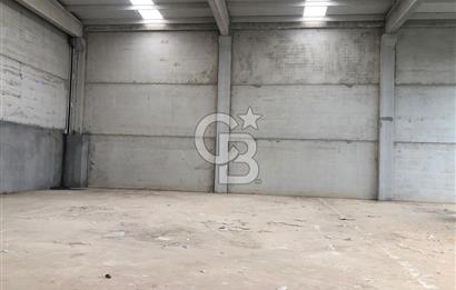 CB KİNG'DEN ORGANİZE SANAYİ MARANGOZLAR SİTESİ KİRALIK DÜKKAN
