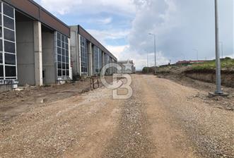 CB KİNG'DEN ORGANİZE SANAYİ MARANGOZLAR SİTESİ KİRALIK DÜKKAN - 3 - 350440