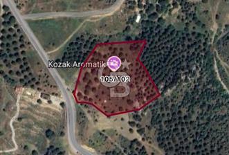 Ayvalıkta Doğayla İç İçe: Eko-Turizm İmarlı Projelik Eşsiz Arsa - 3 - 350458