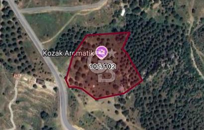 Ayvalıkta Doğayla İç İçe: Eko-Turizm İmarlı Projelik Eşsiz Arsa