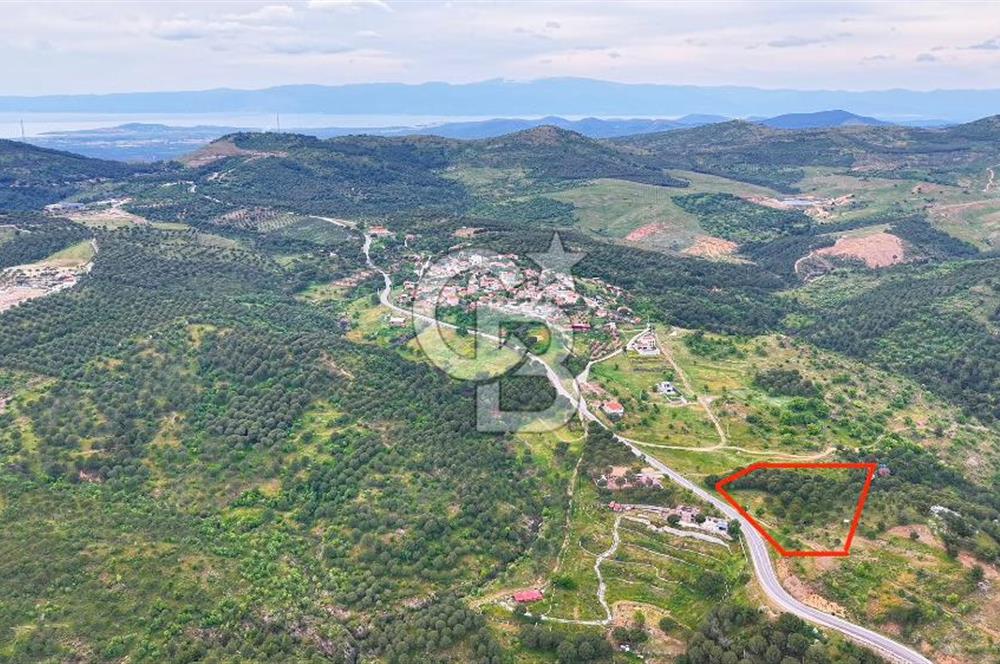 Ayvalıkta Doğayla İç İçe: Eko-Turizm İmarlı Projelik Eşsiz Arsa