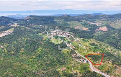 Ayvalıkta Doğayla İç İçe: Eko-Turizm İmarlı Projelik Eşsiz Arsa