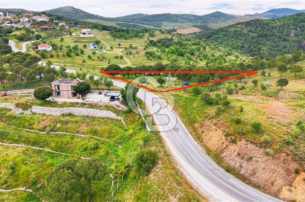 Ayvalıkta Doğayla İç İçe: Eko-Turizm İmarlı Projelik Eşsiz Arsa