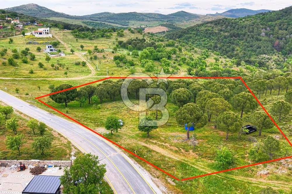 Ayvalıkta Doğayla İç İçe: Eko-Turizm İmarlı Projelik Eşsiz Arsa