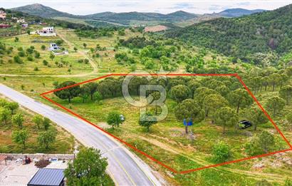 Ayvalıkta Doğayla İç İçe: Eko-Turizm İmarlı Projelik Eşsiz Arsa