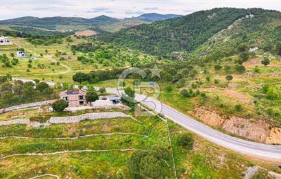 Ayvalıkta Doğayla İç İçe: Eko-Turizm İmarlı Projelik Eşsiz Arsa