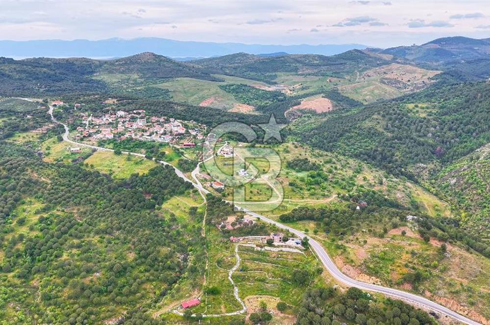 Ayvalıkta Doğayla İç İçe: Eko-Turizm İmarlı Projelik Eşsiz Arsa