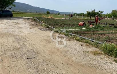 Torbalı Osb Yakını Bugünün Tarlası Yarının Değerli Yatırımı