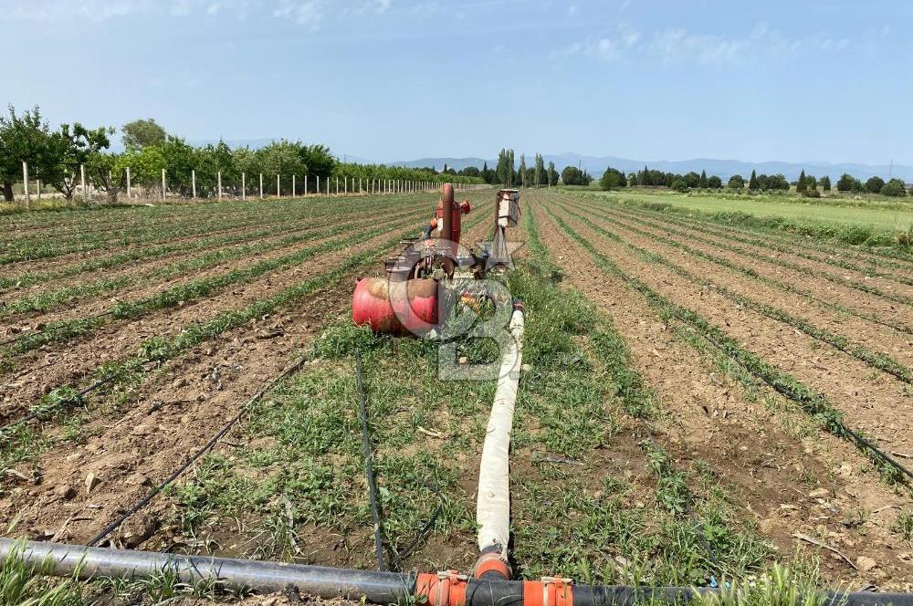 Torbalı Osb Yakını Bugünün Tarlası Yarının Değerli Yatırımı