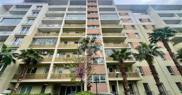 Soyak Siesta Blue Sitesi nde 2+1 C Tipi Boş Satılık Daire - 339482