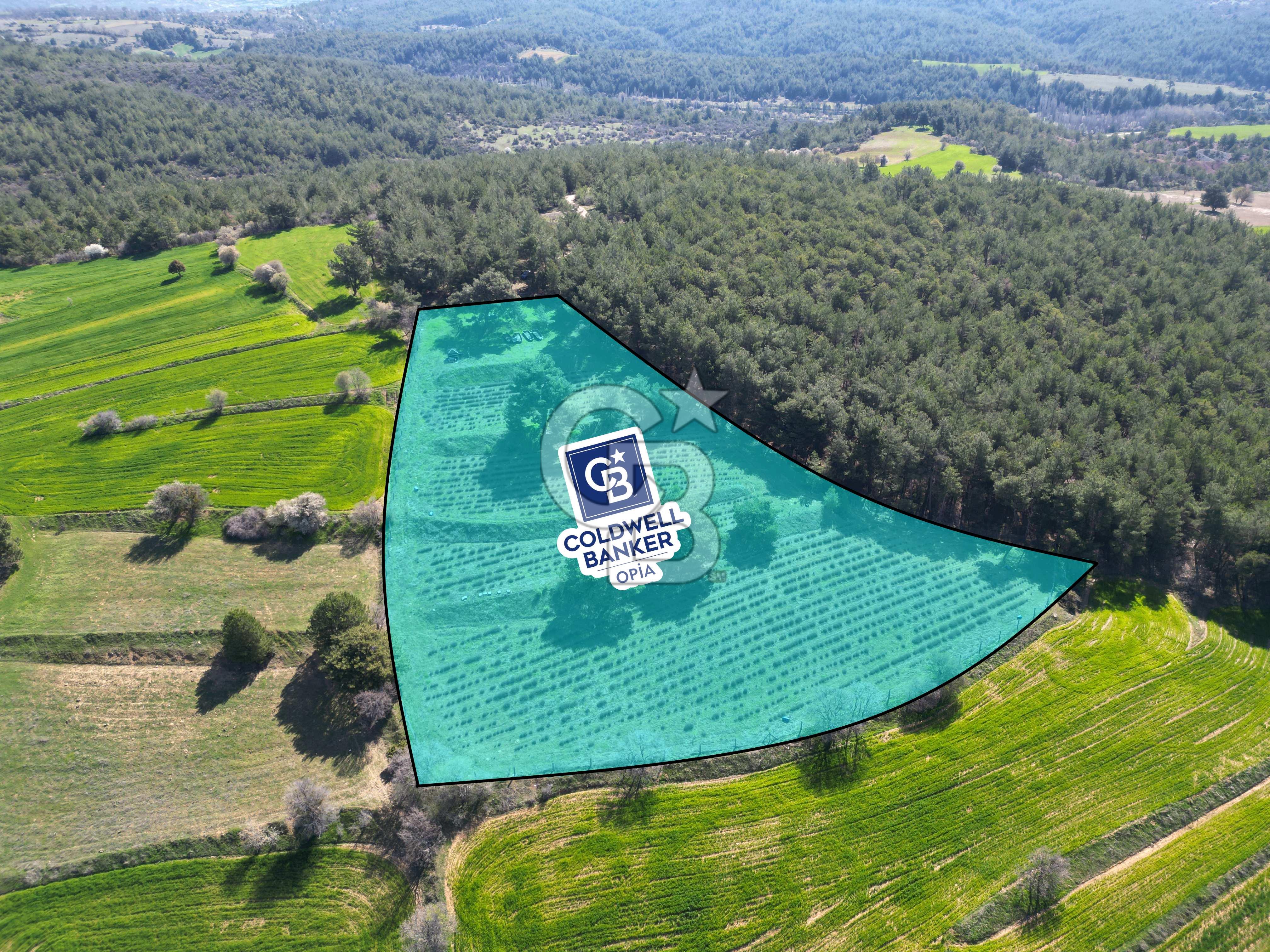 CB OPİA'DAN ''DOĞAYLA İÇ İÇE 10.269 m² YATIRIMLIK TARLA FISATI'