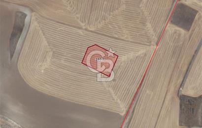 GÖLBAŞI KIZILÇAŞARDA VİLLA İMARLI 3000 m2 SATILIK ARSA
