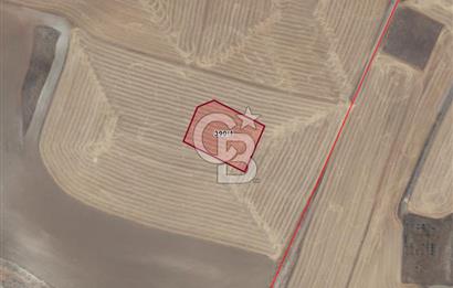 GÖLBAŞI KIZILÇAŞARDA VİLLA İMARLI 3000 m2 SATILIK ARSA