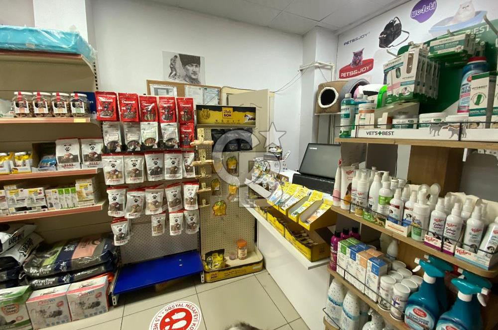 Çekmeköy Mimar Sinan Mahallesi Devren Kiralık Pet Shop