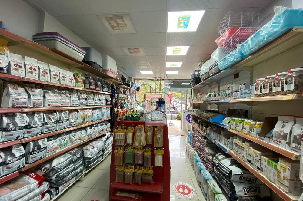 Çekmeköy Mimar Sinan Mahallesi Devren Kiralık Pet Shop