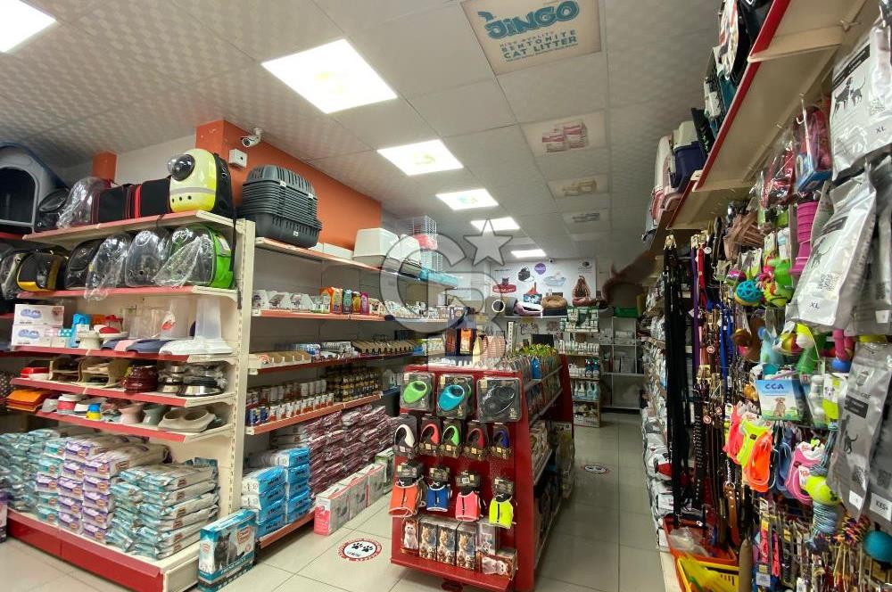 Çekmeköy Mimar Sinan Mahallesi Devren Kiralık Pet Shop
