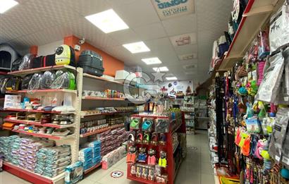 Çekmeköy Mimar Sinan Mahallesi Devren Kiralık Pet Shop