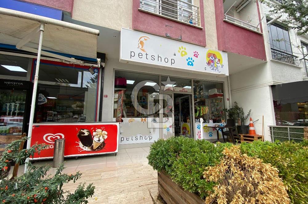 Çekmeköy Mimar Sinan Mahallesi Devren Kiralık Pet Shop