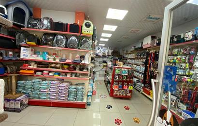 Çekmeköy Mimar Sinan Mahallesi Devren Kiralık Pet Shop