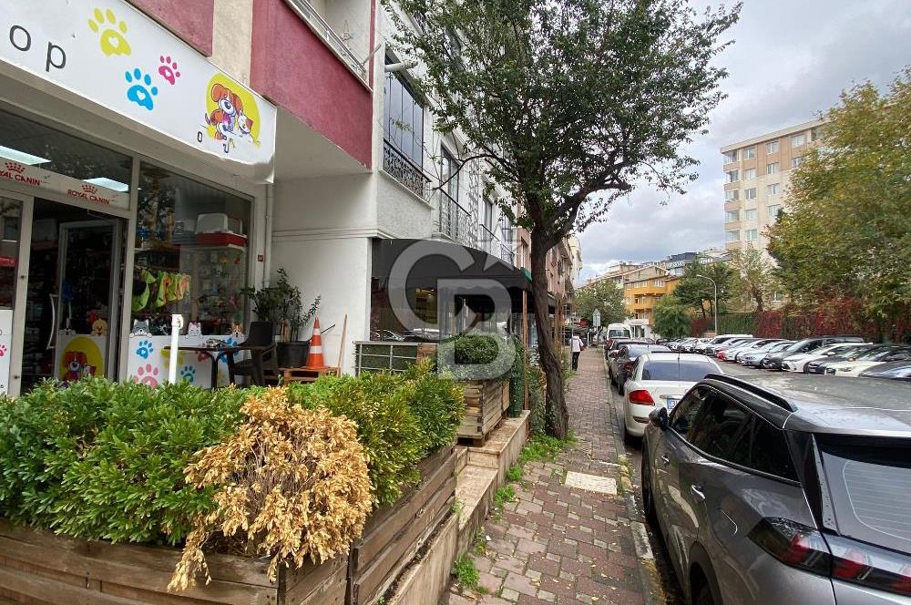 Çekmeköy Mimar Sinan Mahallesi Devren Kiralık Pet Shop