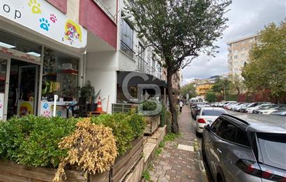 Çekmeköy Mimar Sinan Mahallesi Devren Kiralık Pet Shop
