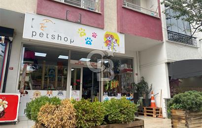 Çekmeköy Mimar Sinan Mahallesi Devren Kiralık Pet Shop