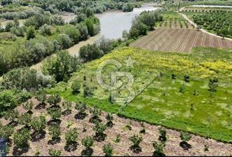 SAKARYA NEHRİ KIYISINDA DOĞAYLA İÇ İÇE YATIRIM FIRSATI - 3 - 350508