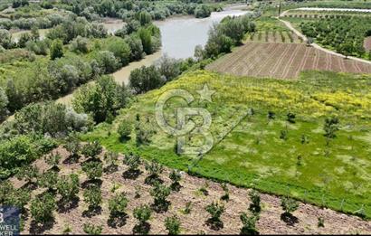 SAKARYA NEHRİ KIYISINDA DOĞAYLA İÇ İÇE YATIRIM FIRSATI