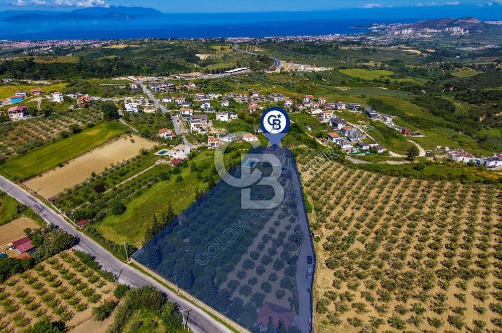 Kuşadası Yaylaköy’de Full Deniz Manzaralı, Zeytinlik İçerisinde Satılık Özel Malikane
