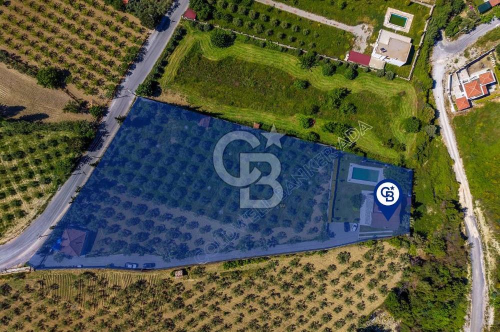 Kuşadası Yaylaköy’de Full Deniz Manzaralı, Zeytinlik İçerisinde Satılık Özel Malikane