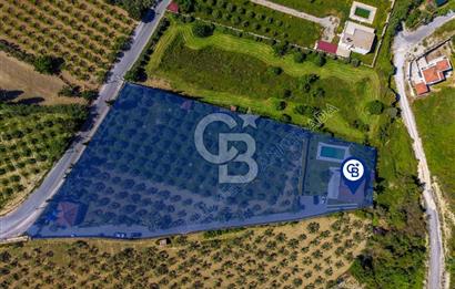 Kuşadası Yaylaköy’de Full Deniz Manzaralı, Zeytinlik İçerisinde Satılık Özel Malikane