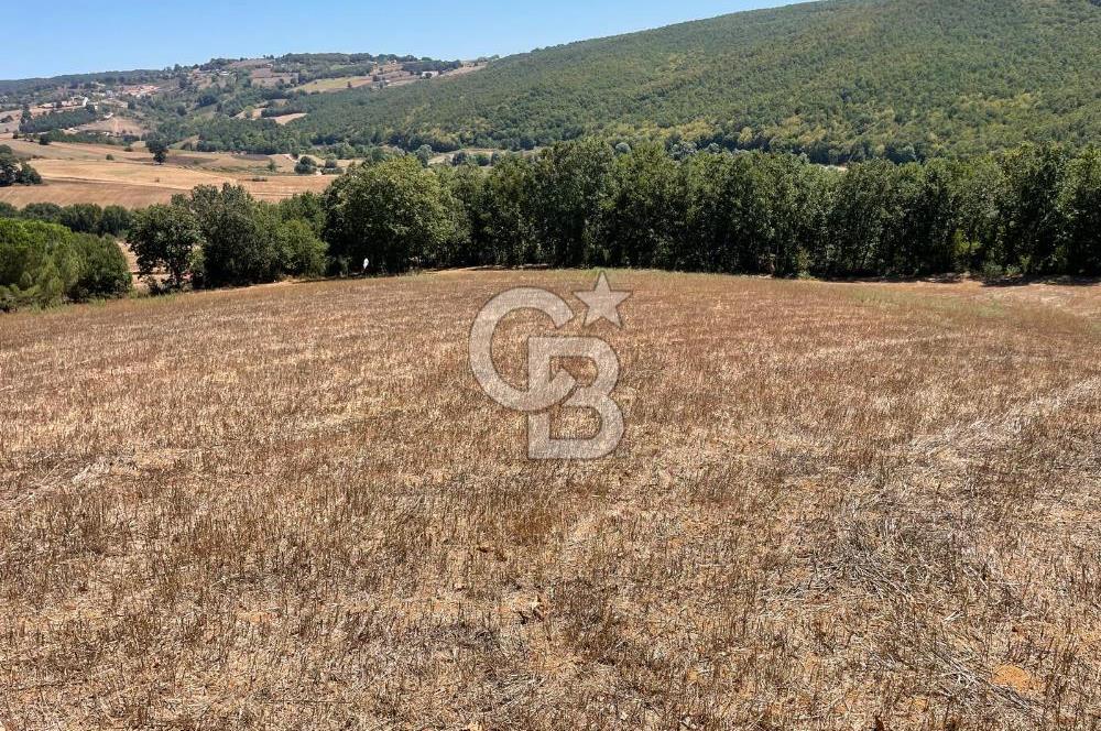 İZMİT YASSIBAĞ KANDIRA OTOYOLUNA YAKIN FIRSAT 13.911 m2