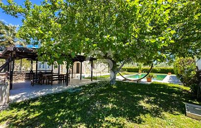 Kuşadası Yaylaköy’de Full Deniz Manzaralı, Zeytinlik İçerisinde Satılık Özel Malikane