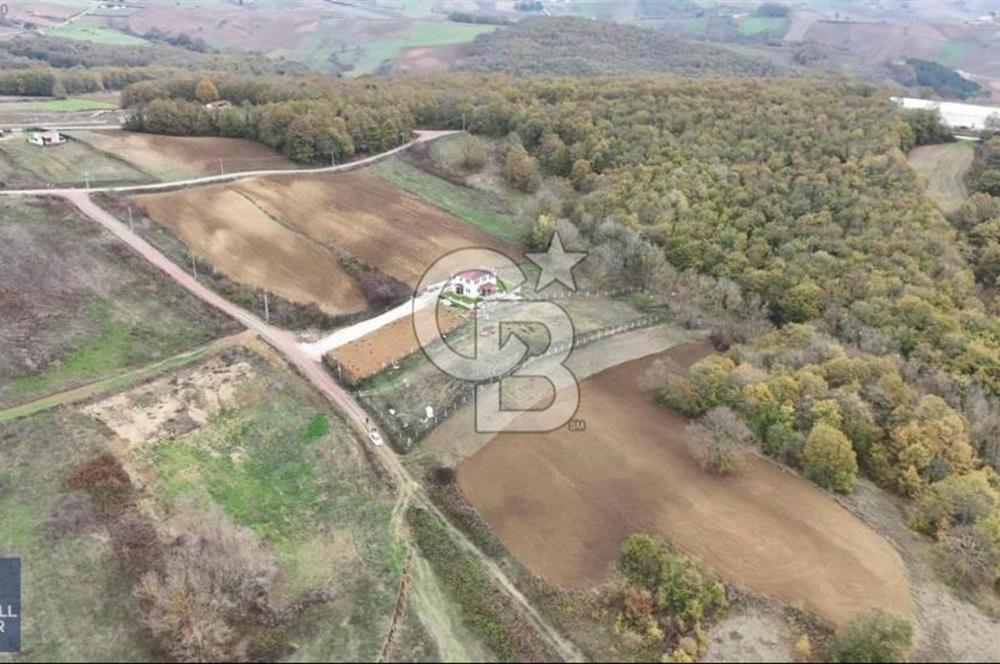 DERİNCE TAHTALI SATILIK 1591M² RESMİ YAPI İÇİN UYGUN KUPON ARAZİ