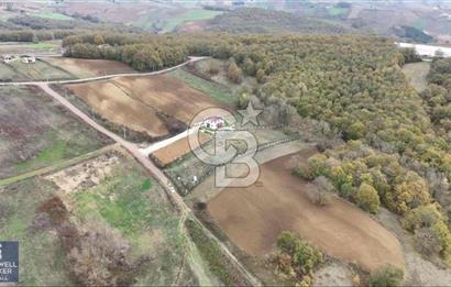 DERİNCE TAHTALI SATILIK 1591M² RESMİ YAPI İÇİN UYGUN KUPON ARAZİ